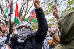 Masked Protester