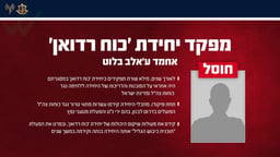 The IDF announcement regarding the elimination.