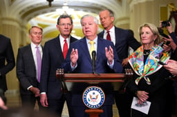 Lindsey Graham, the senior Republican senator