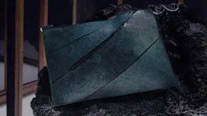 The dino bag.