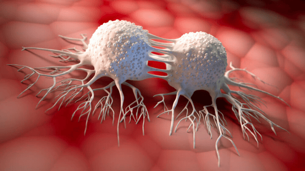 Cancer cells