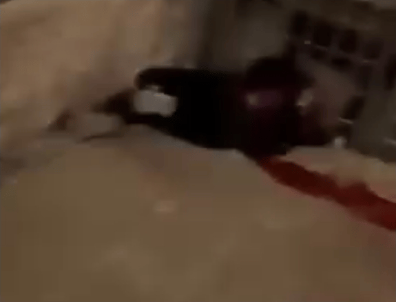 The slain terrorist.