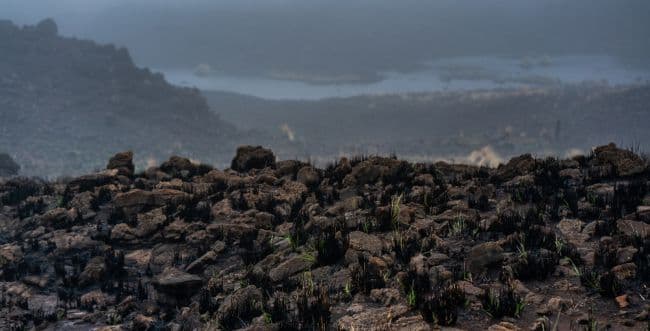 The scene of the fires in Hawaii