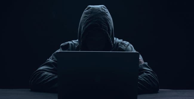 Photo: shutterstock/ViChizh