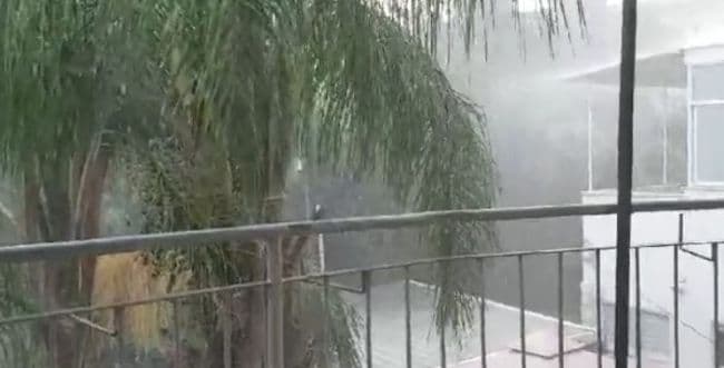 Courtesy of the photographer