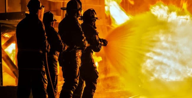 Photo: Arisha Ray Singh/Shutterstock