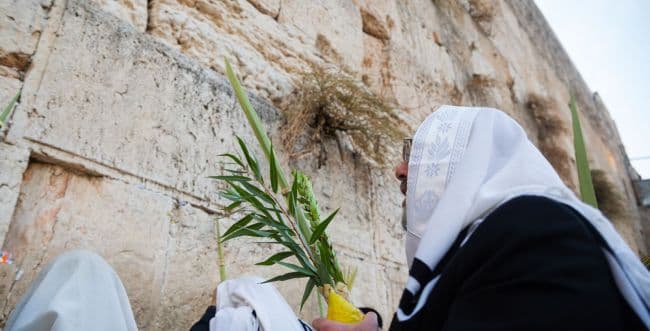 Photo: The Western Wall Heritage Foundation