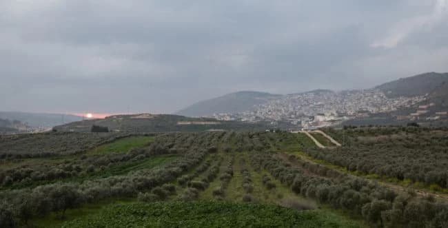 Photo: Hadas Parush, Flash90.