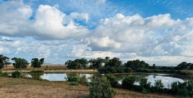 Photo: Uri Ehrlich, Nature and Parks Authority.