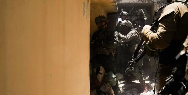 Fighter activity, archive