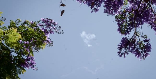 Photo: Avshalom Sassoni, Flash 90