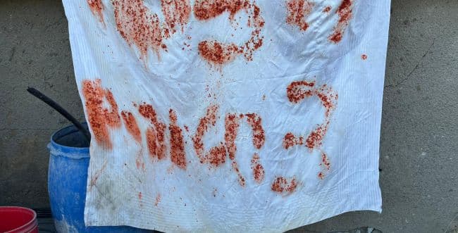 Photo: IDF spokesman