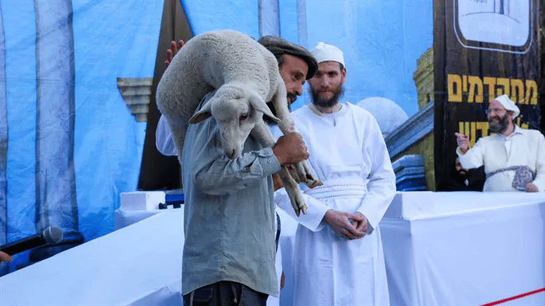 Passover Sacrifice Practice