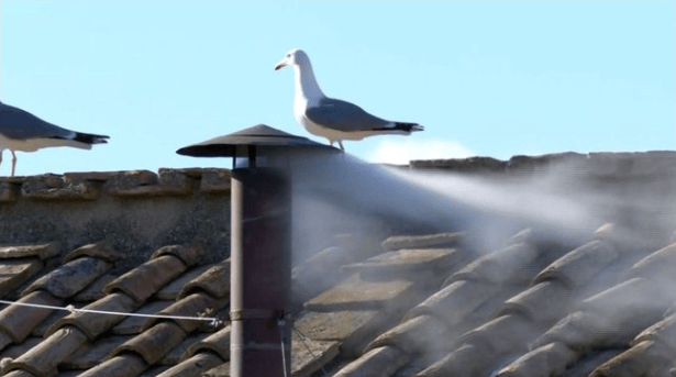 White smoke, telling of a new Pope.