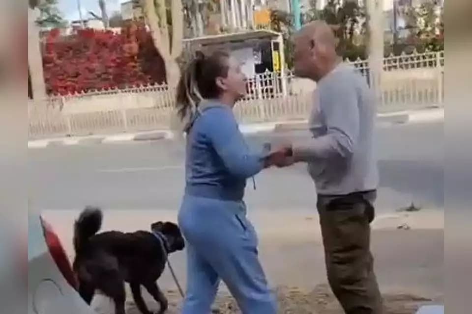 The shocking incident where the father and son attacked their neighbour and her dog