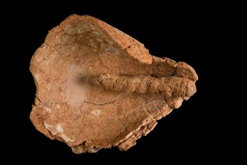 Oil lamp with textile wick