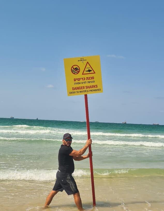 closure of beaches in Ashdod after shark sighting