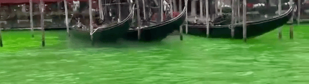 Greta Dyes Venice Canal green