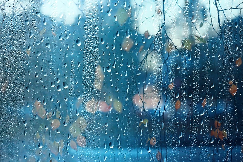 Photo: Kichigin/Shutterstock