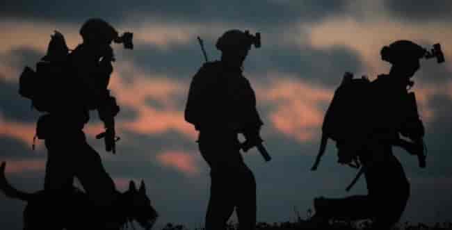 IDF, archive background