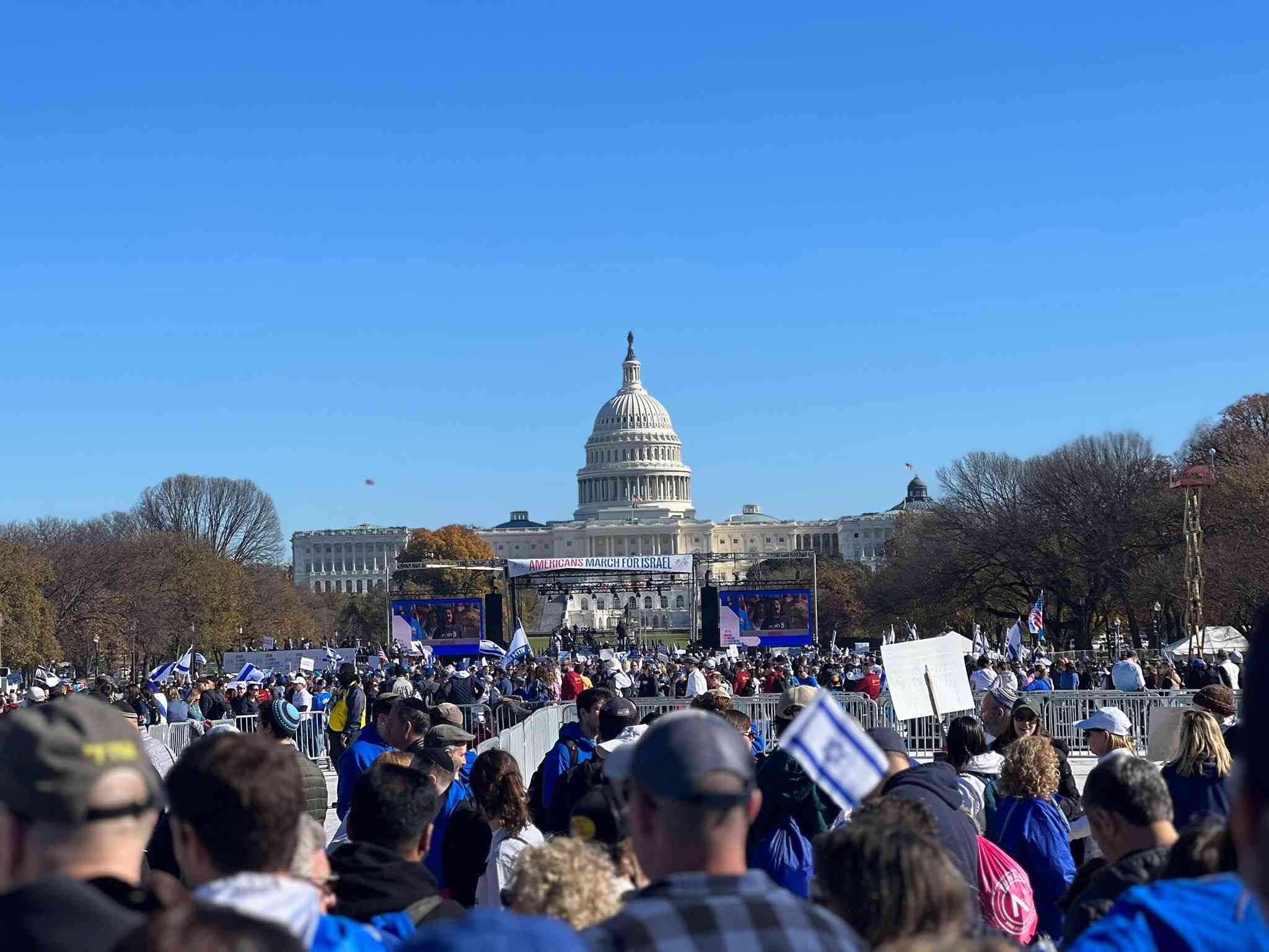 A sea of Israel supporters. background