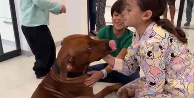 The Brodetz brothers who were released from captivity with their dog background