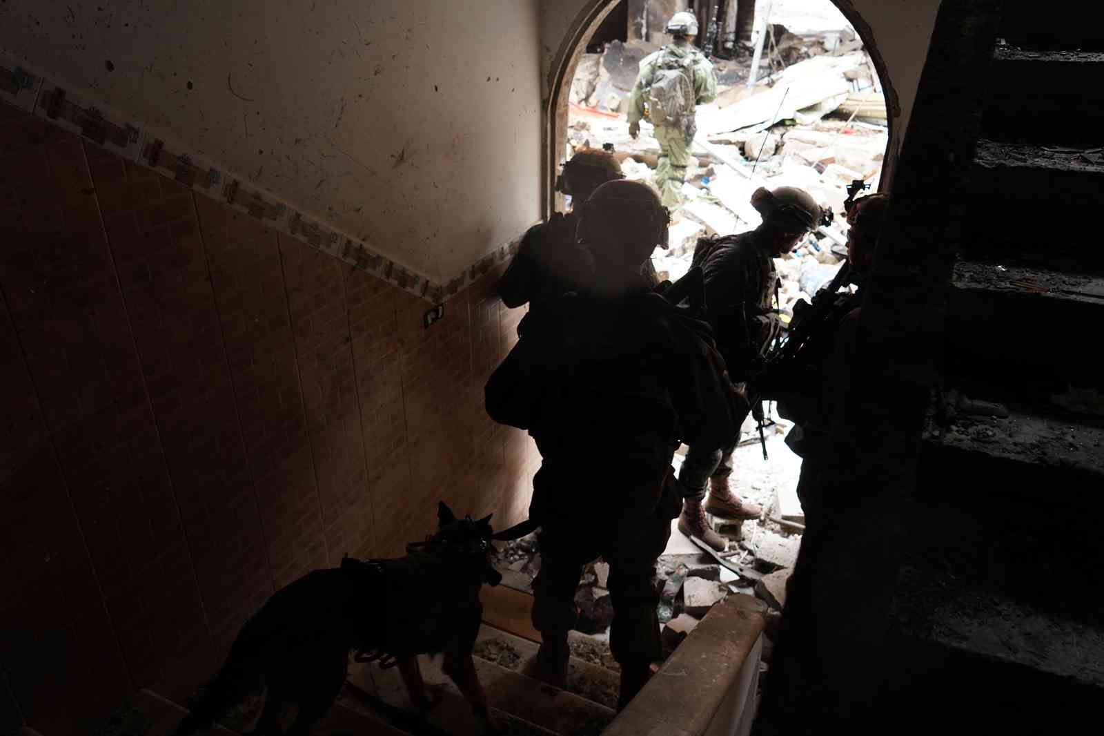 Hunting terrorists with man's best friend. background