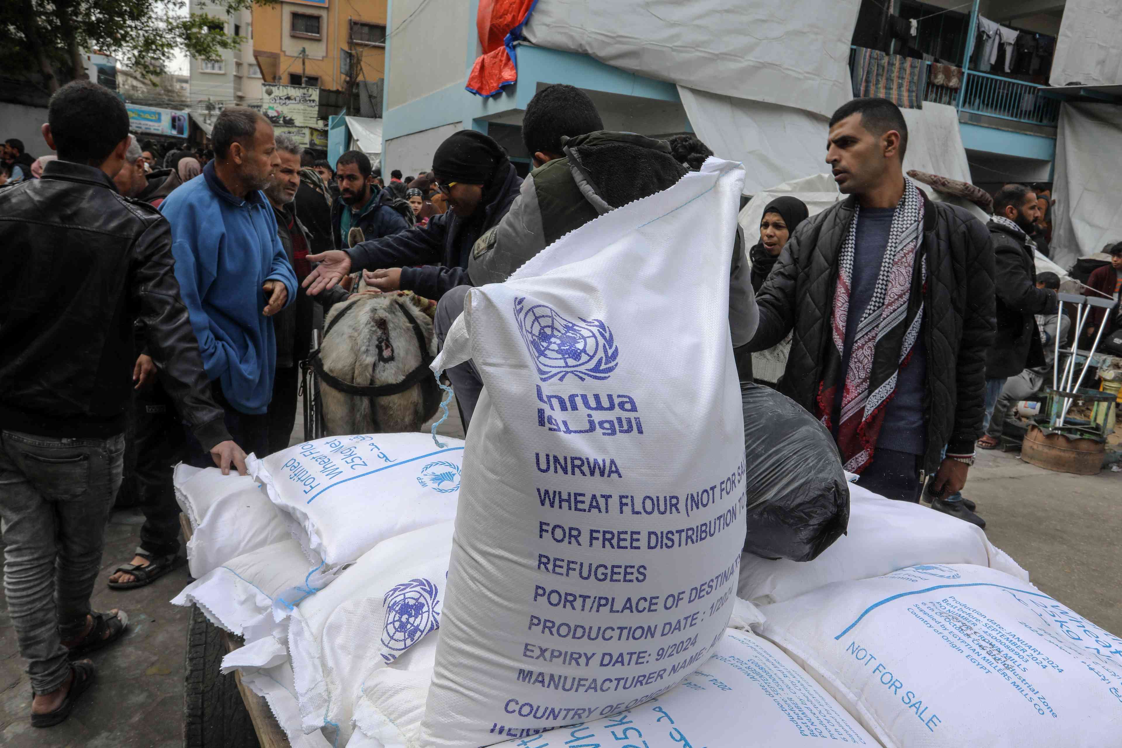 Increasingly cut out of the aid business. UNRWA aid distribution. background
