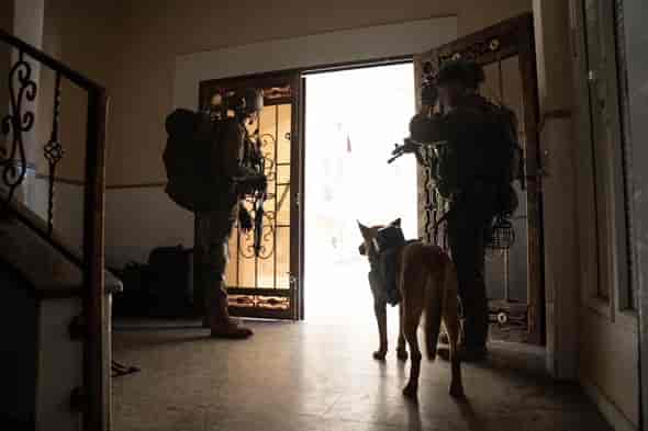 Searching for terrorists with man's best friend. background