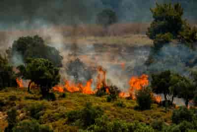 Large fire in Galilee area, northern Israel, on June 12, 2024. background