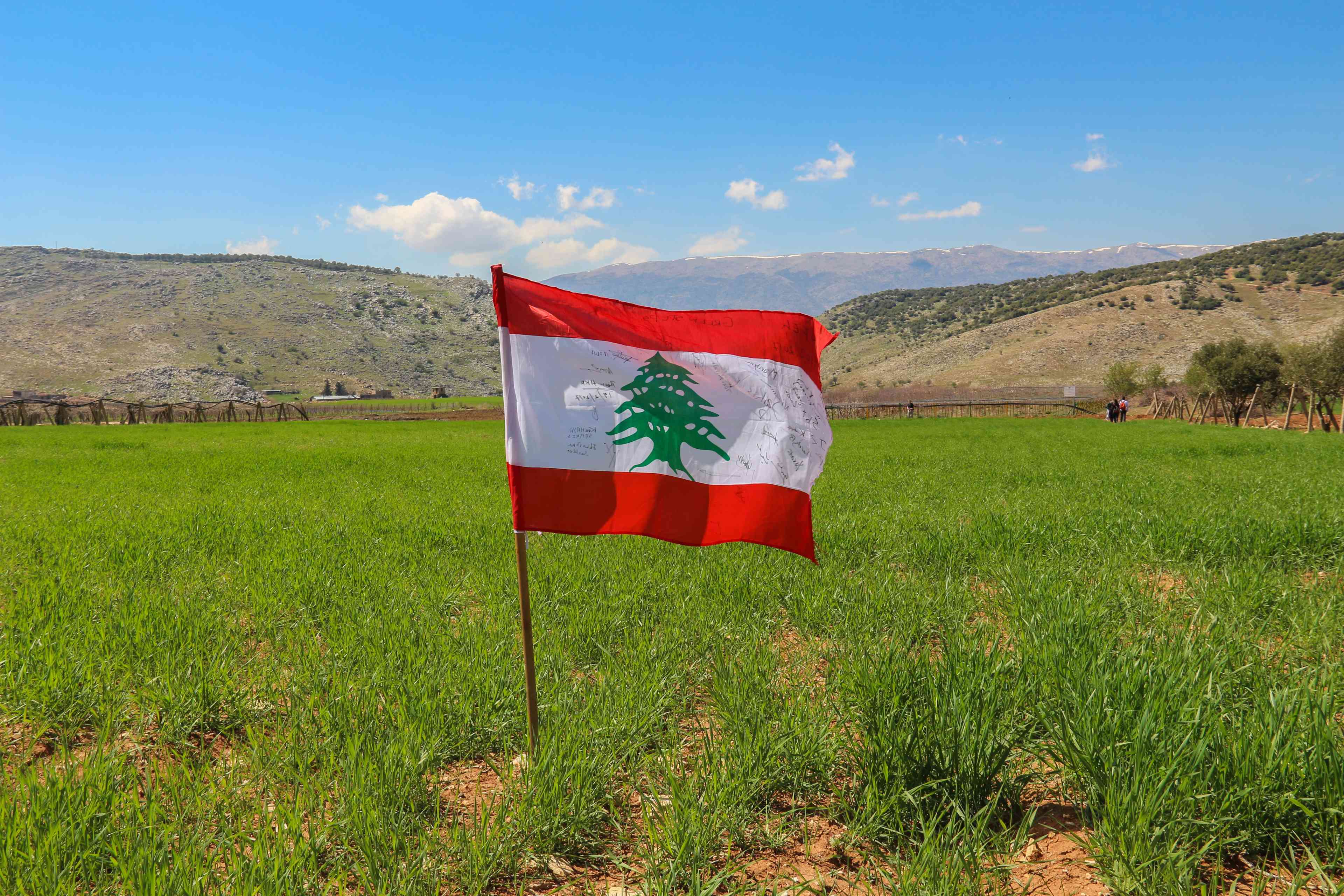 Lebanese flag. background