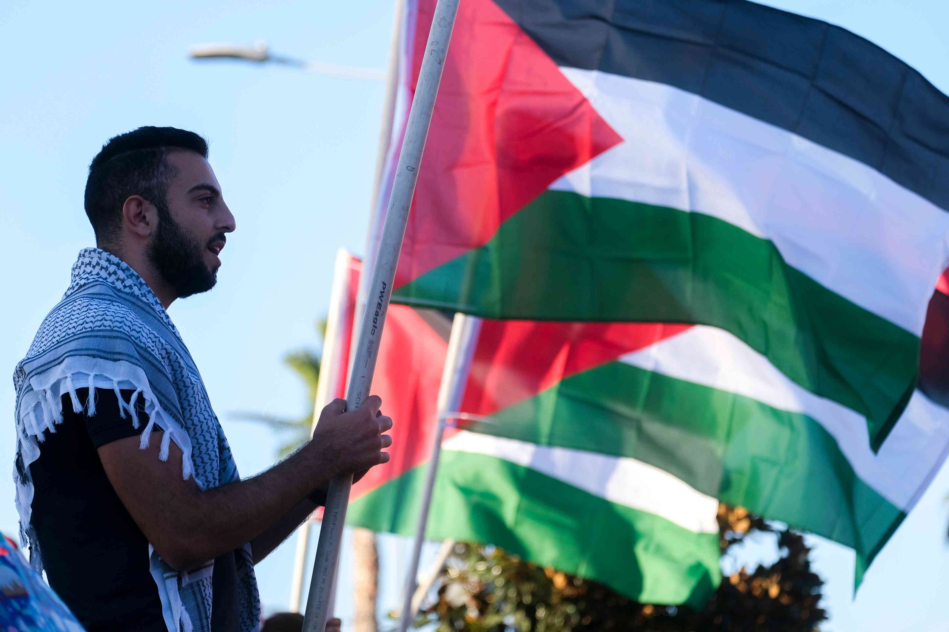 Pro-Palestinian protestor background
