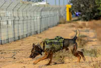 Israeli soldiers from the IDF Oketz canine unit patrol with a dog in Kerem Shalom, located on the Gaza Strip-Israel-Egypt border, southern Israel. background