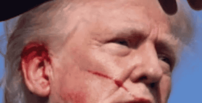 Donald Trump after assassination attempt background