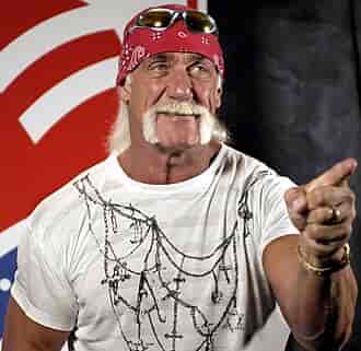 Hulk Hogan. background
