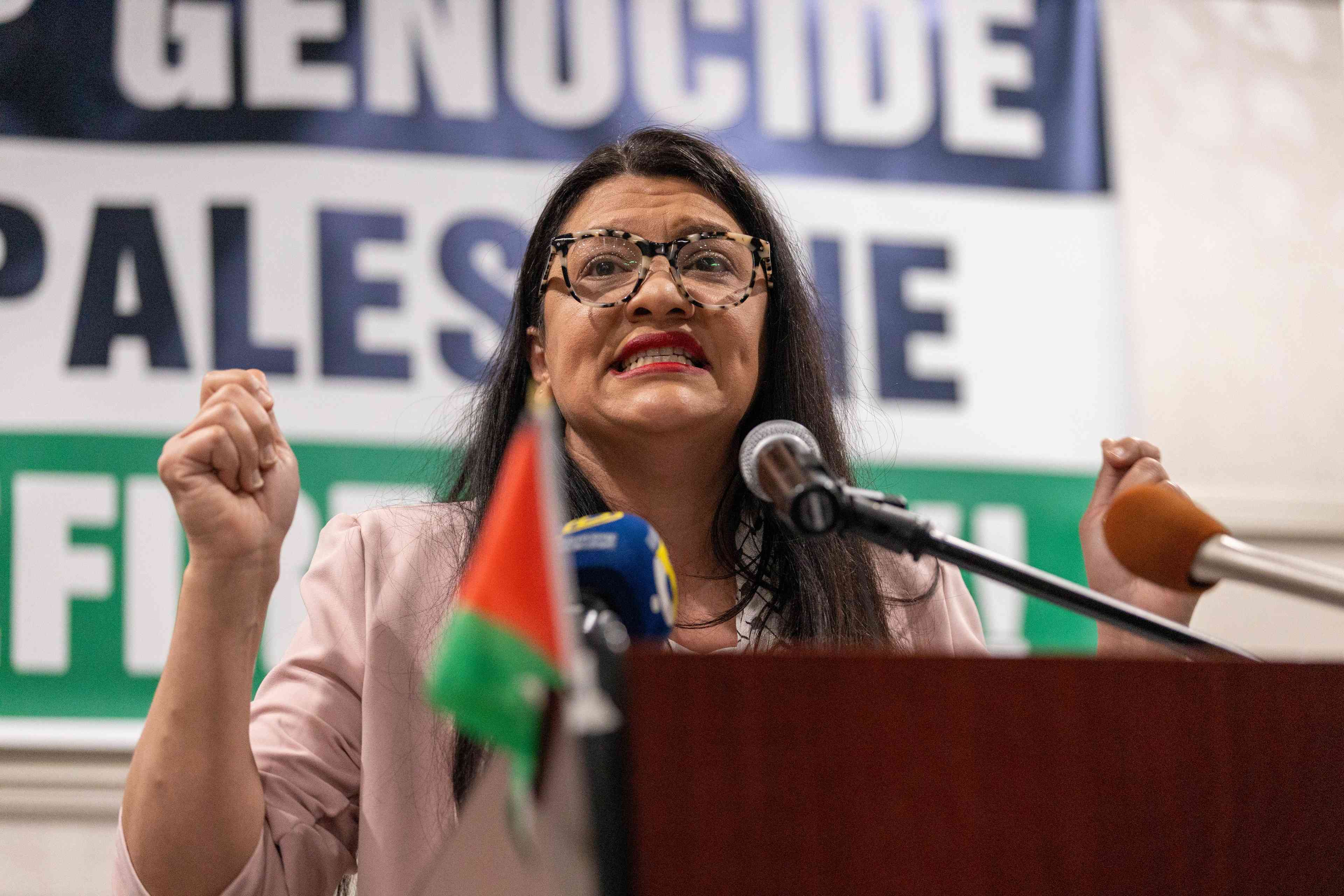Rep. Rashida Tlaib background