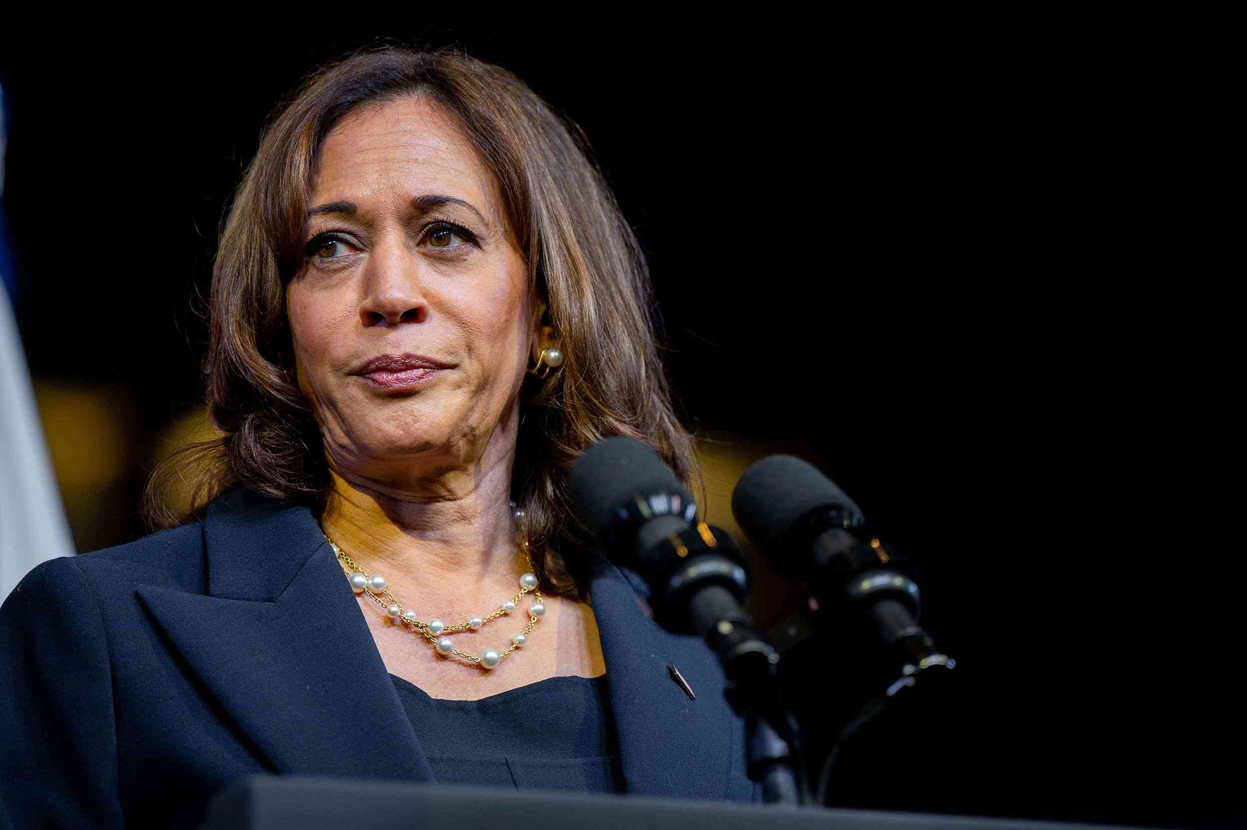 US democratic party presidential candidate Kamala Harris background