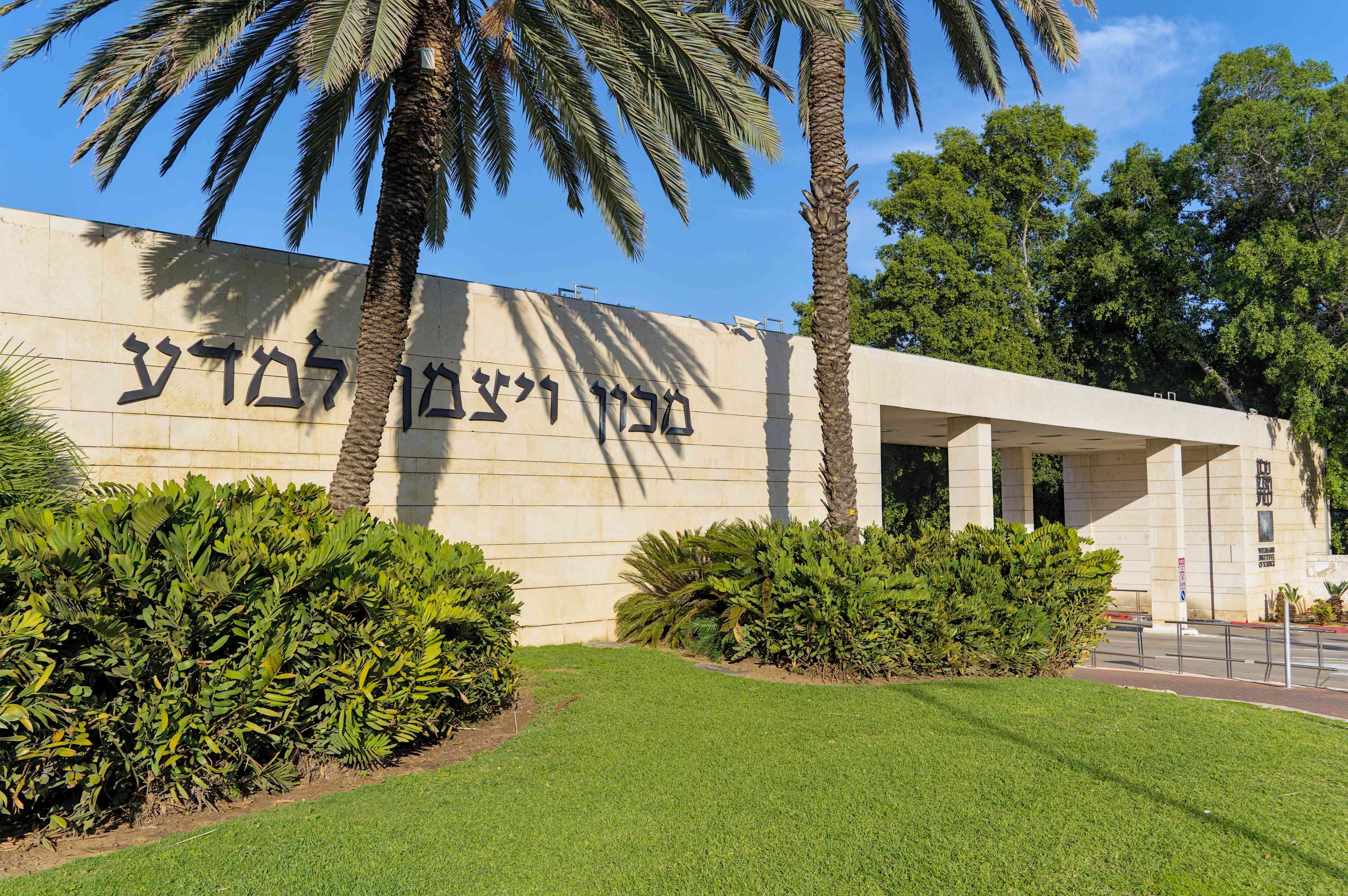 The Weizmann Institute background