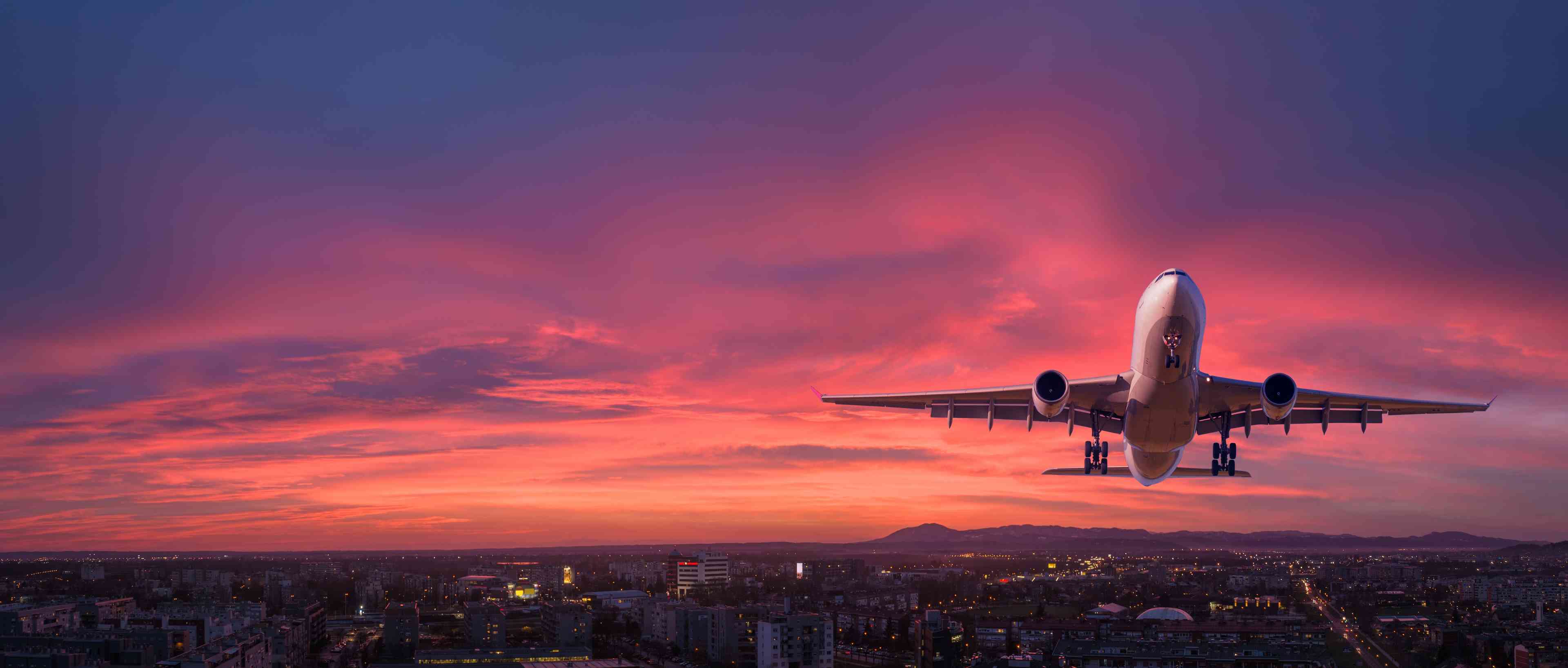 Photo: Denis Belitsky/ Shutterstock background