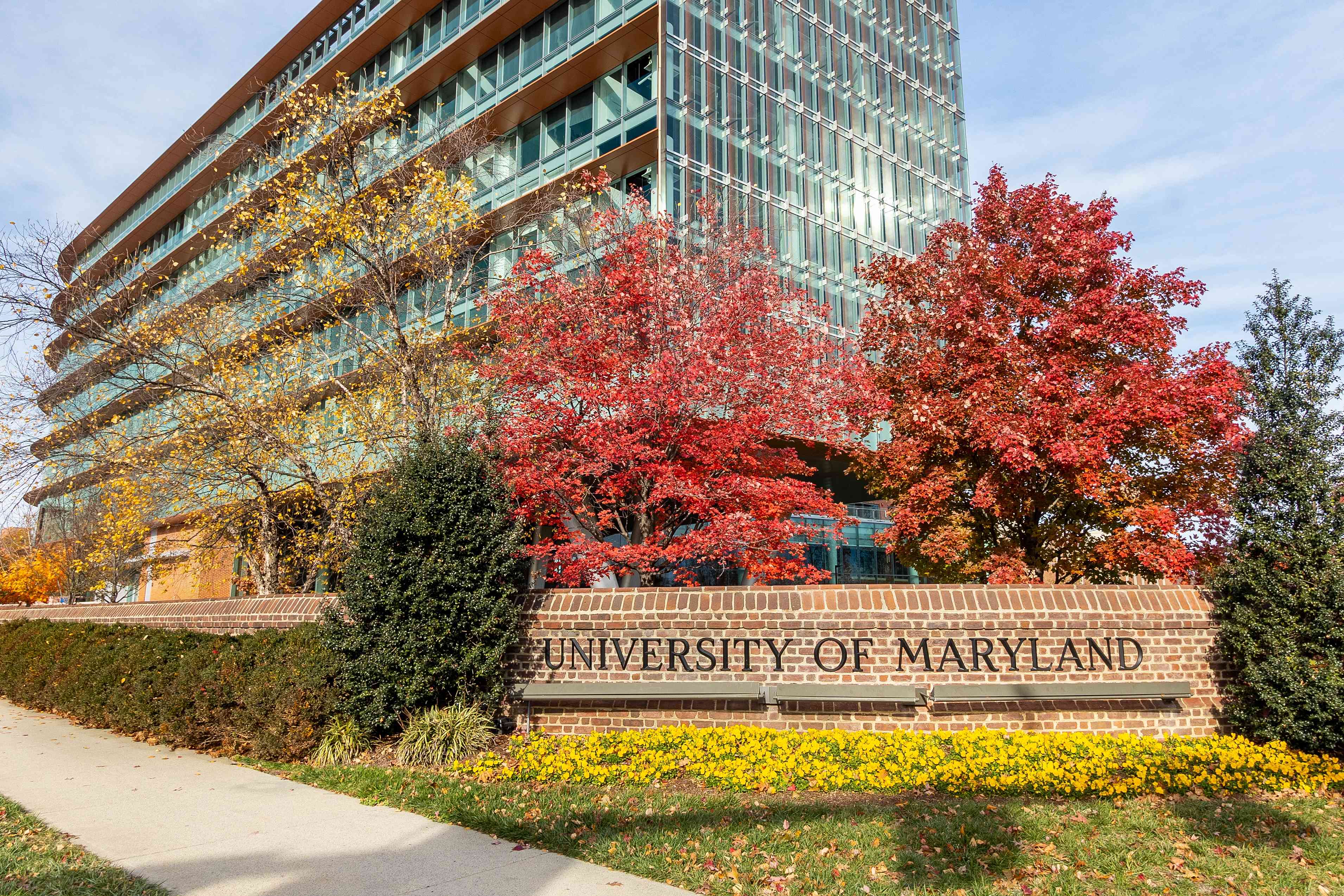 University of Maryland background