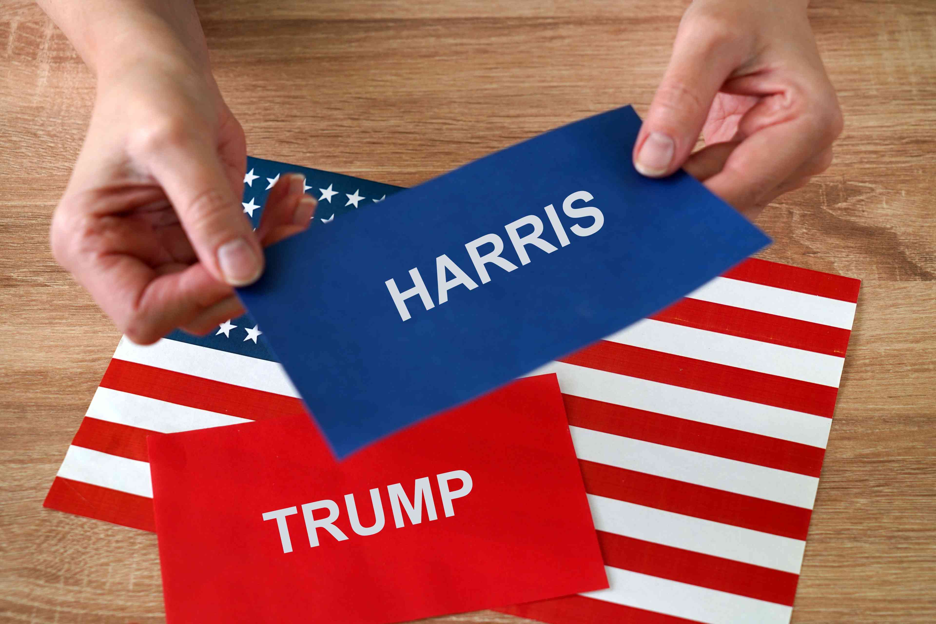 2024 election. background