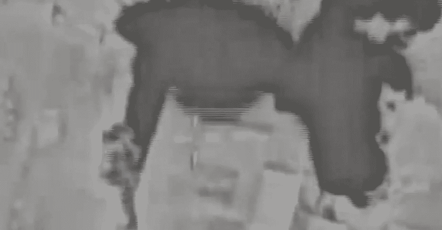 Hitting Hezbollah banks. background
