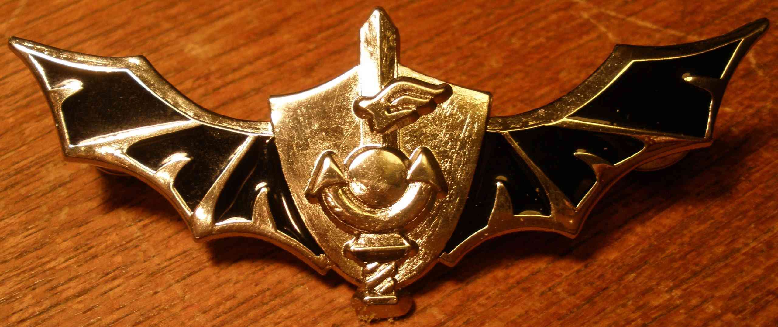 Shayetet 13's insignia background
