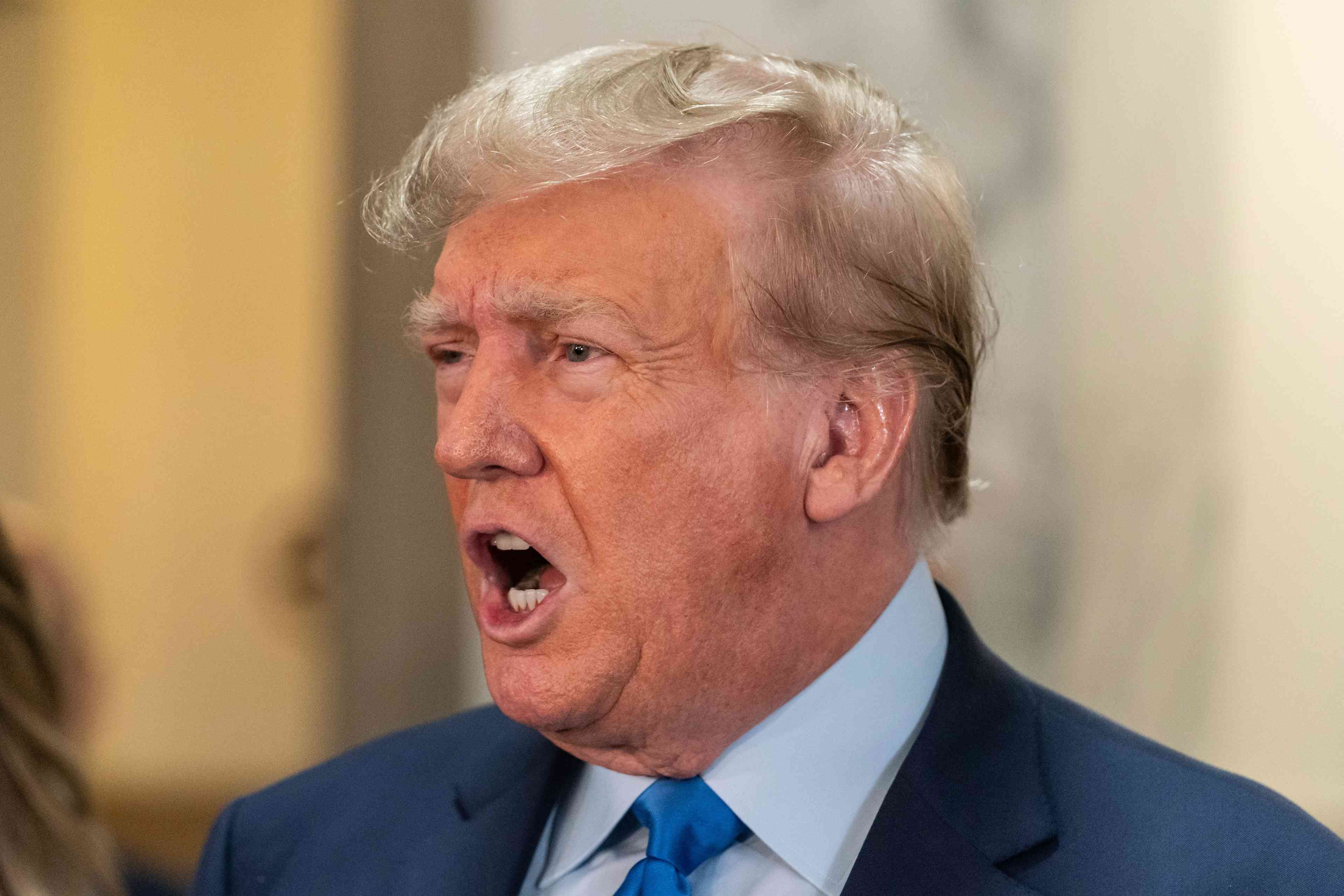 Donald Trump background