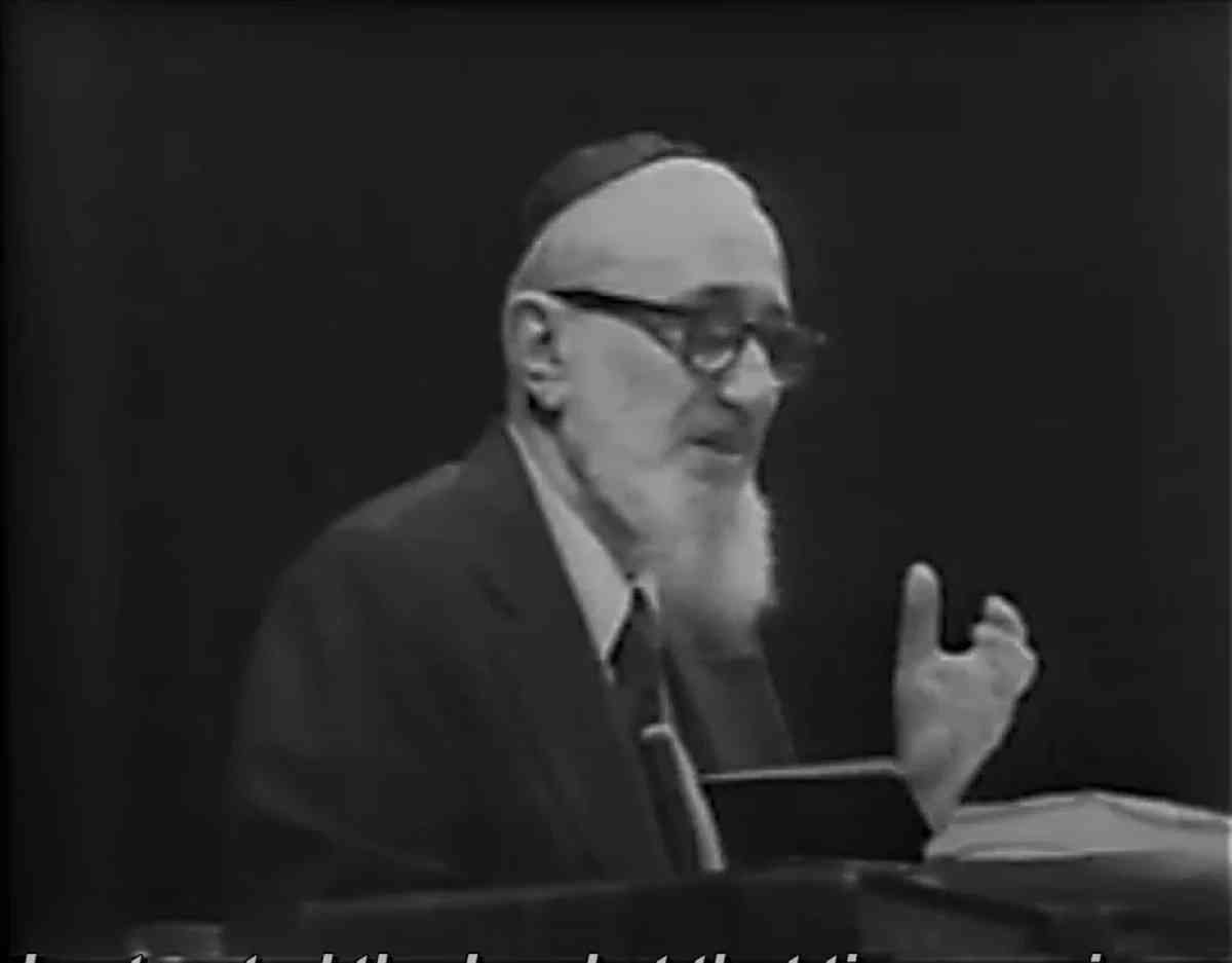 Rabbi Yosef Dov Soleveitchik background