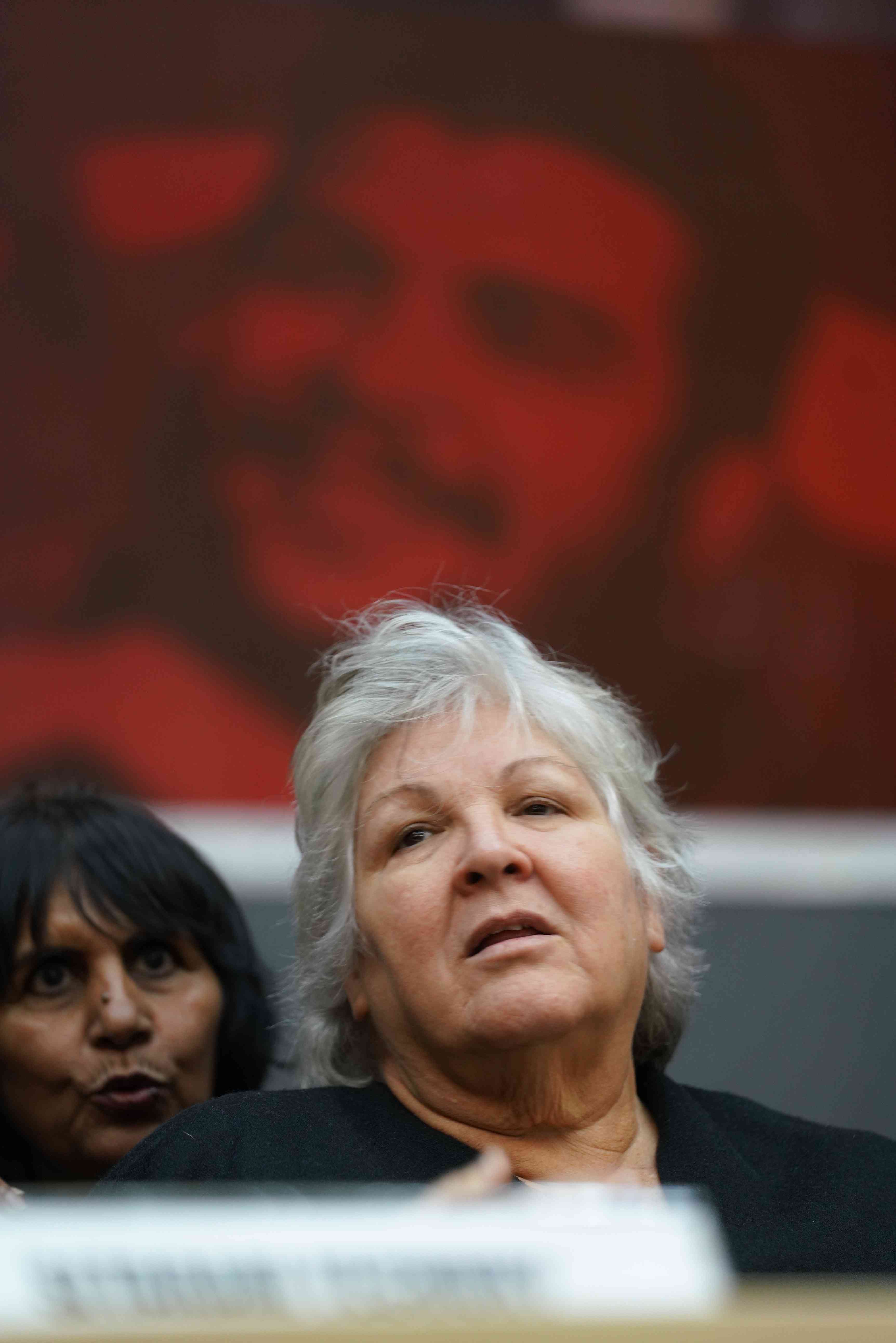 Aleida Guevara background