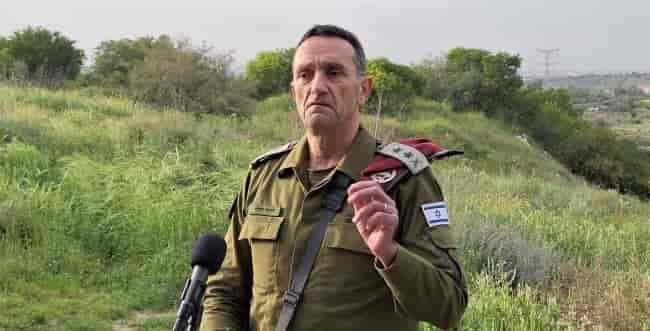 Herzi Halevi background