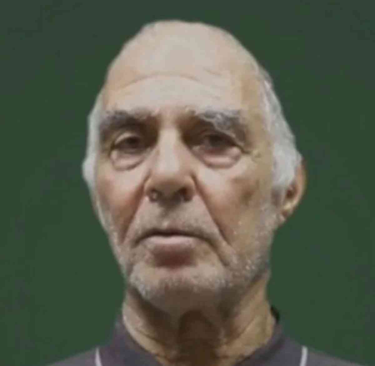 Gadi Moses background