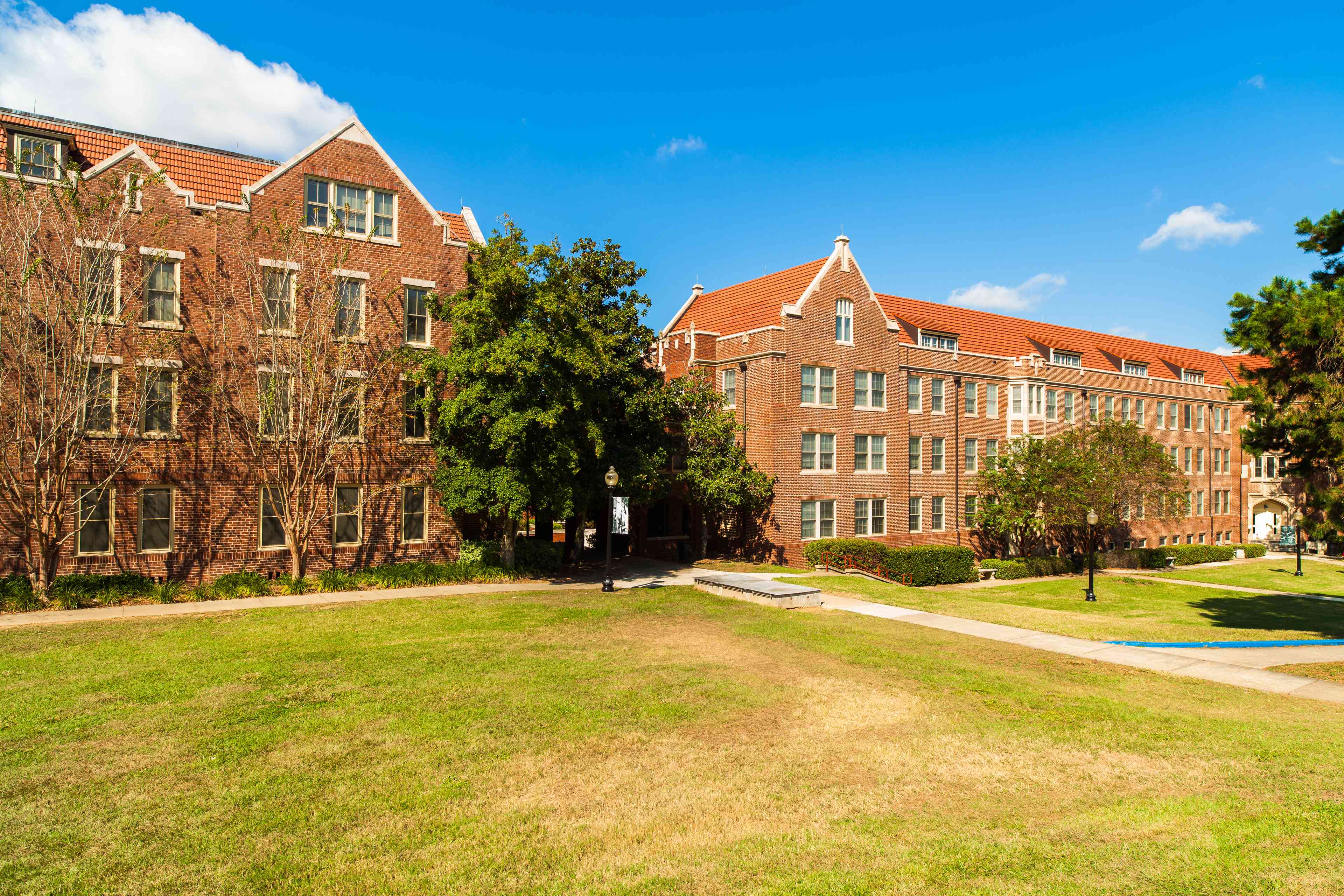 Florida State University background