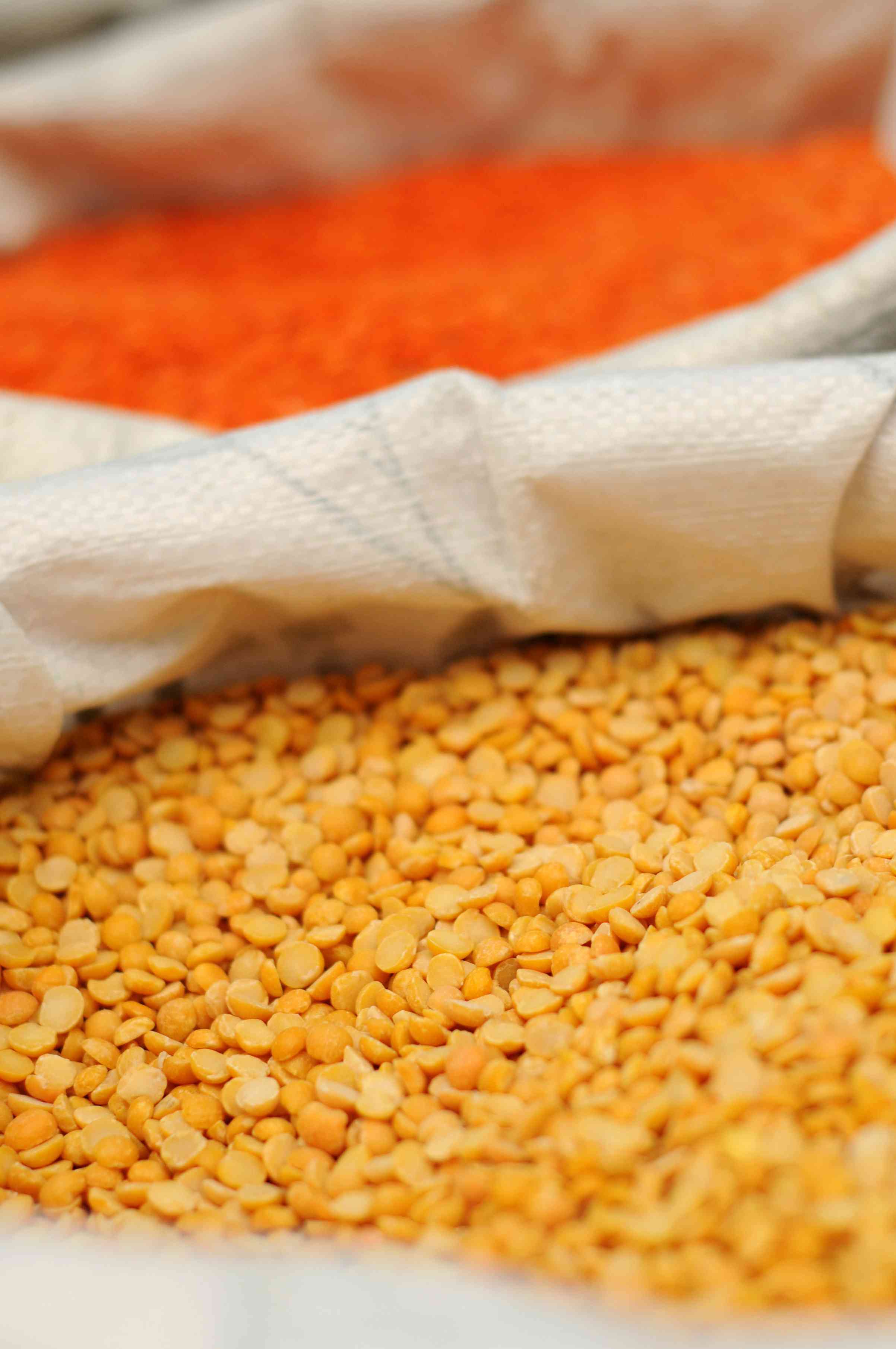 Wheat Discovered in Pesach Certified Lentils background